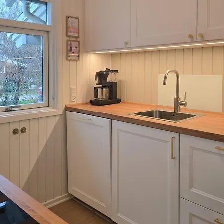 Laerkemose Sydals X Skovbyballe